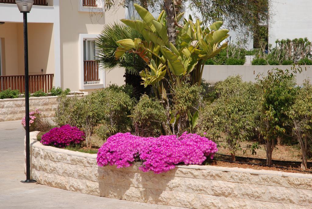 Aktea Beach Village Ayia Napa Luaran gambar